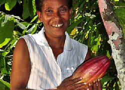 La coopérative du cacao YACAO dans la République dominicaine