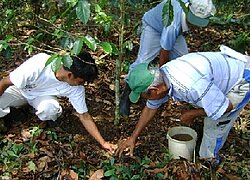 La coopérative du café et sucre Satipo en Pérou