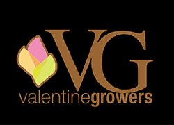 La ferme floricole Valentine Flowers en Kenya