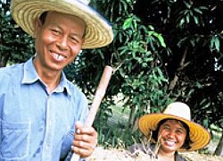 La coopérative du riz Organic Jasmine Rice Producer Group en Thaïlande