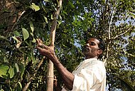 Fair Trade Alliance Kerala