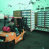 2001_Control_and_loading_at_the_harbour_of_Machala.jpg