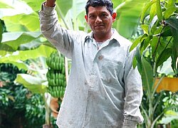 La coopérative de mangue Asociación de Pequeños Productores del Peru
