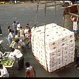 1997_IMG0005_DieErsteLadungFT-BananenKommt_ausEcuador.JPG